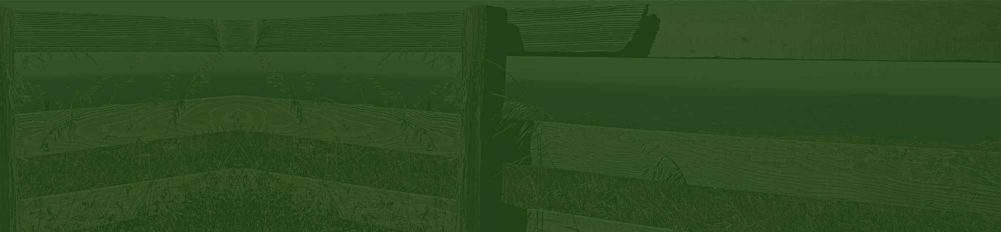 testimonial background